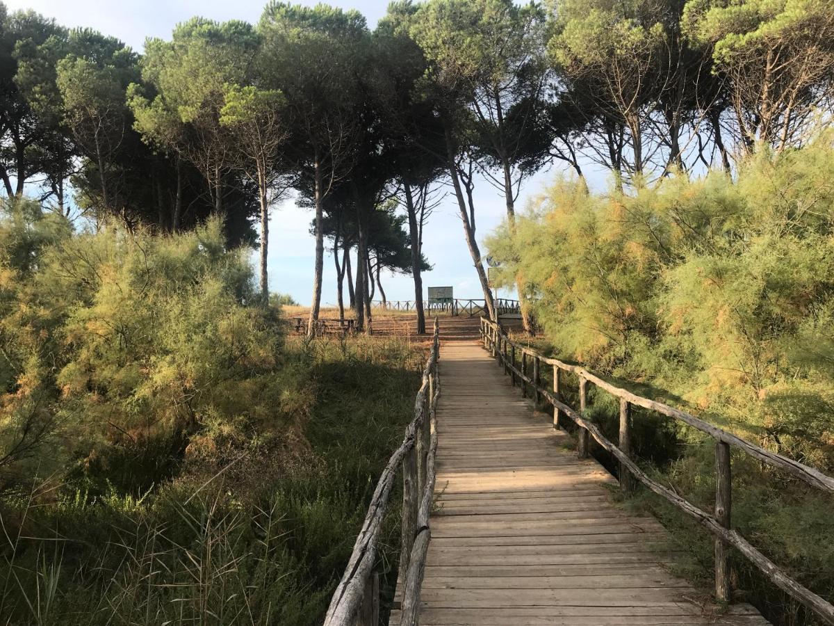 Vento Etrusco Campingplatz Riotorto